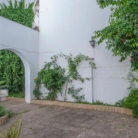 Lejlighed O&l Aire - Spacious And Bright In The Heart Of Sevilla